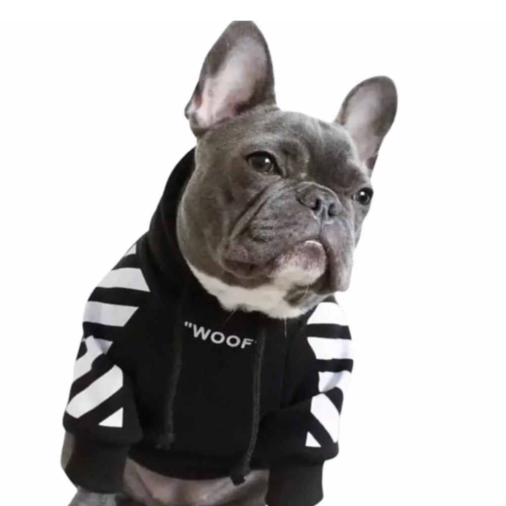 Dog Hoodie